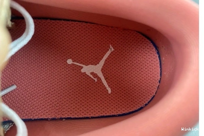 DC0774-109 Low AIR JORDAN 1 1117